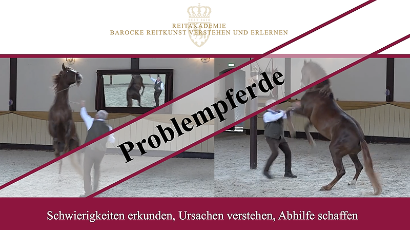 Problempferde