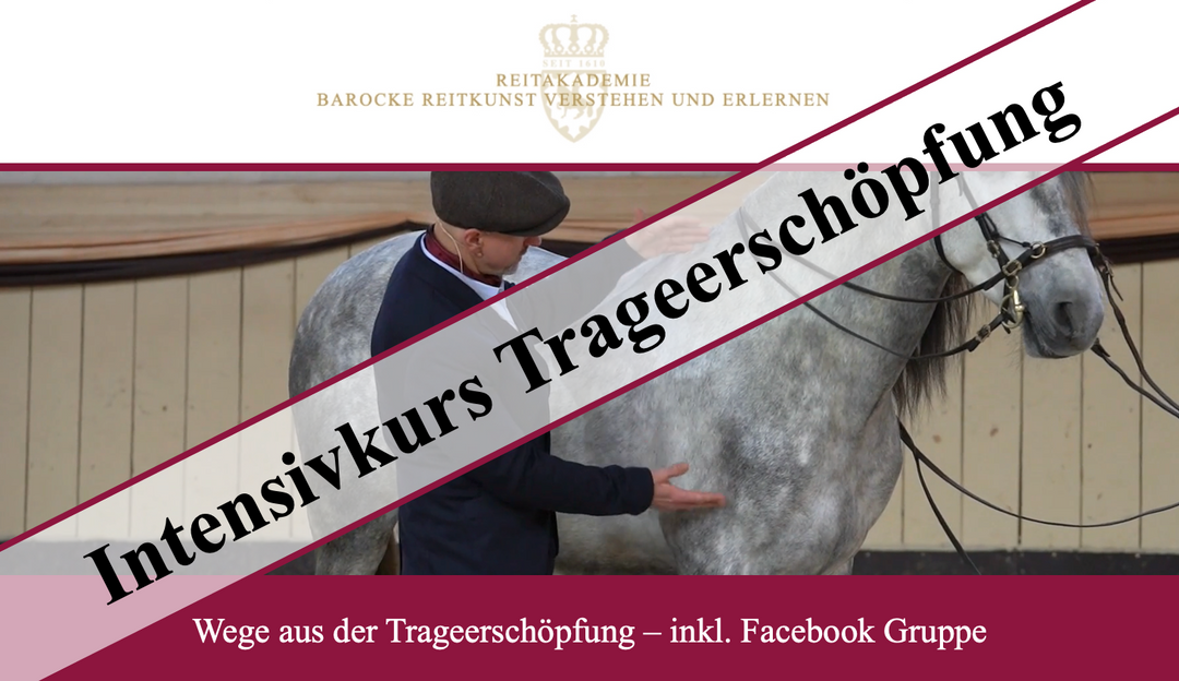 Intensivkurs Trageerschöpfung beim Pferd