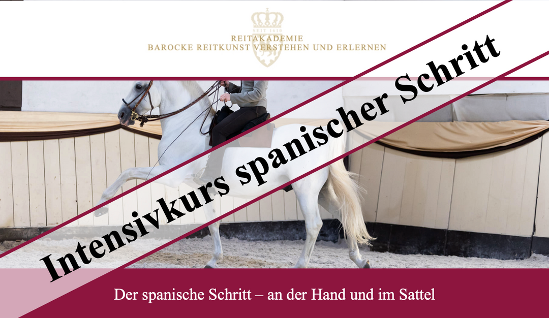 Intensivkurs spanischer Schritt