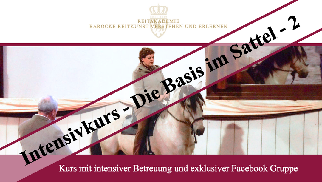 Intensivkurs - Die Basis im Sattel 2