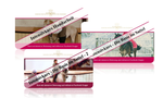 Intensivkurs Bundle Handarbeit und Basis im Sattel 1 & 2