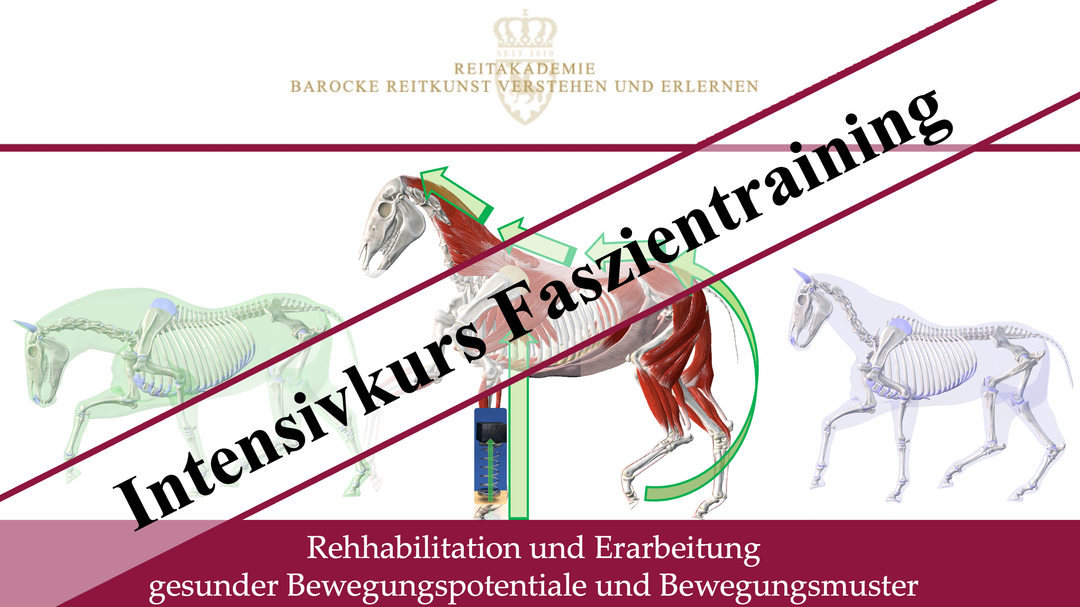 Intensivkurs Faszientraining