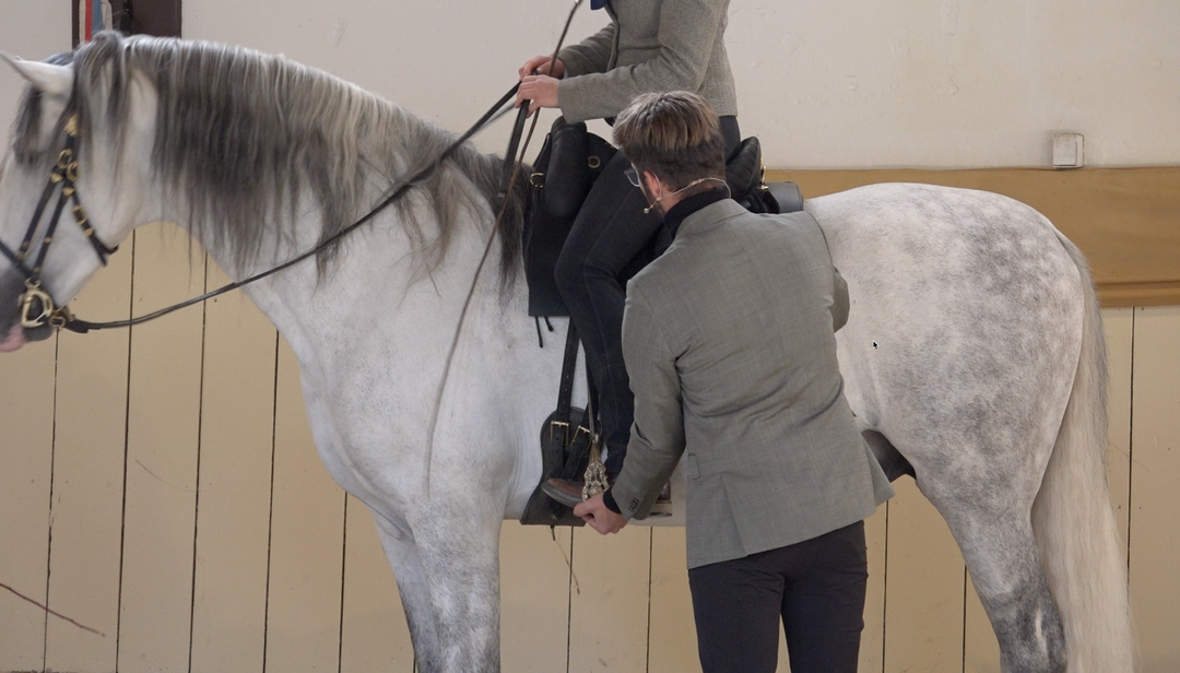 Der korrekte Sitz in der Reitkunst