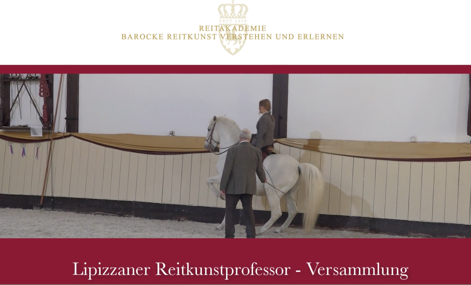 Das Fundament der Reitkunst