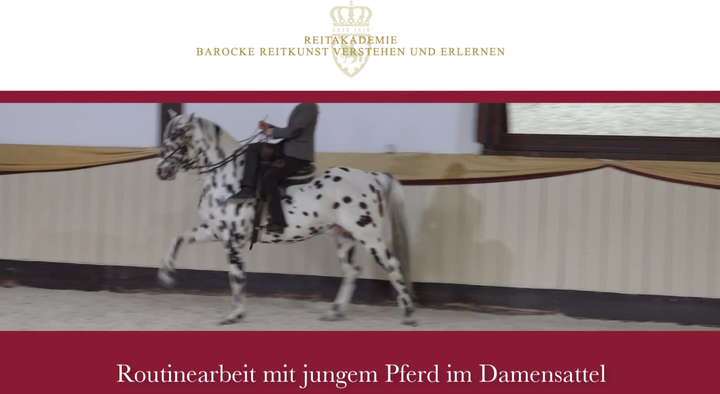 Das Fundament der Reitkunst