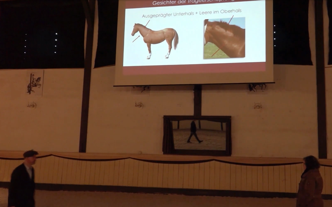 Wege aus der Trageerschöpfung