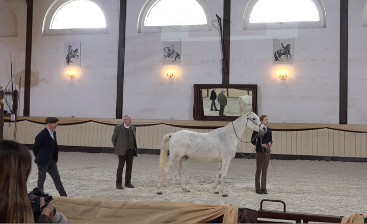 Wege aus der Trageerschöpfung