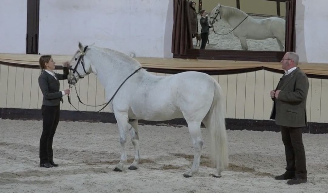 Wege aus der Trageerschöpfung