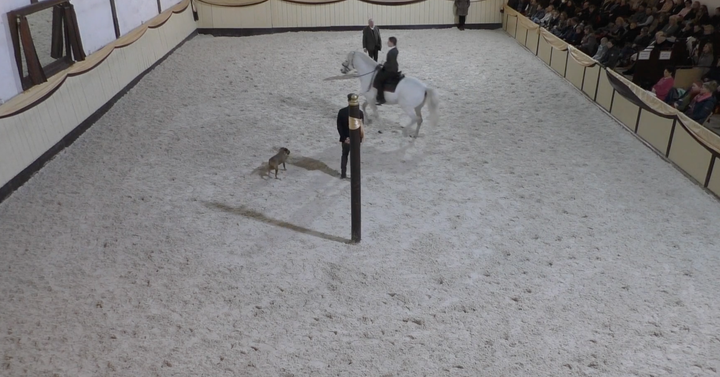 Wege aus der Trageerschöpfung