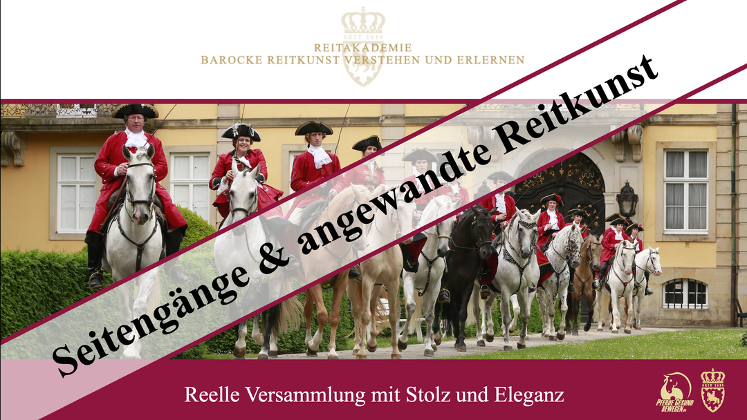 Fortgeschritttene Seitengänge & angewandte Reitkunst