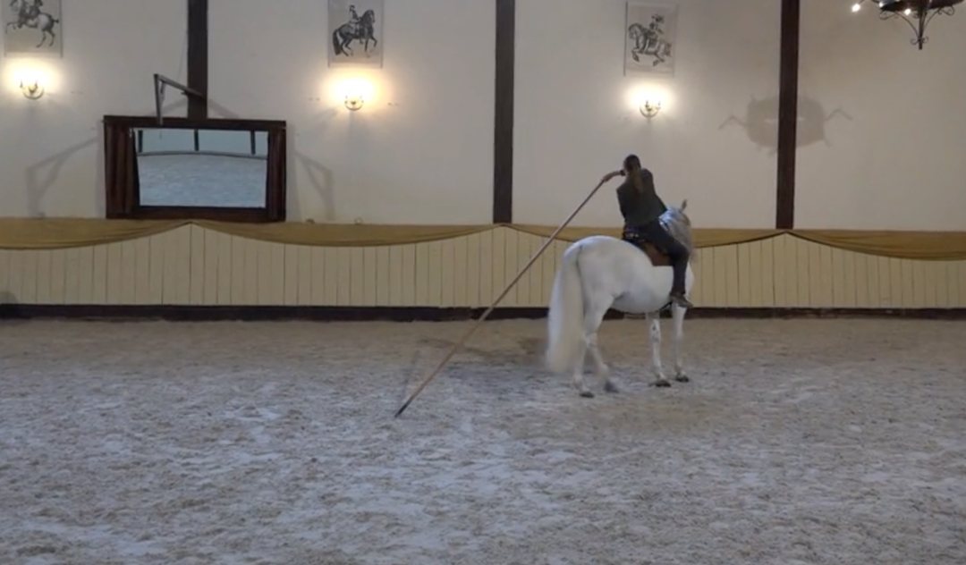 Fortgeschritttene Seitengänge & angewandte Reitkunst