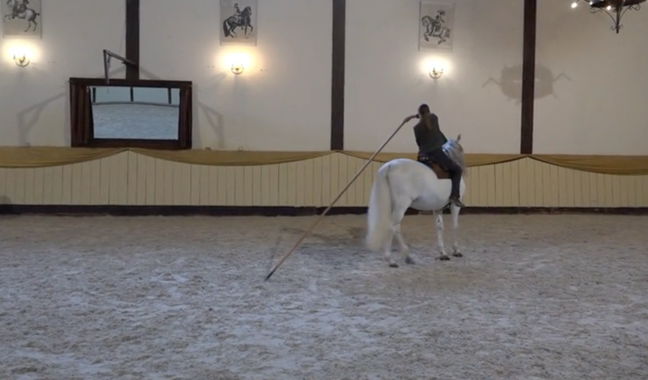 Fortgeschritttene Seitengänge & angewandte Reitkunst