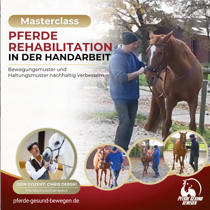 Masterclass Pferde Rehabilitation in der Handarbeit