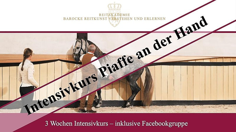 Intensivkurs Piaffe an der Hand