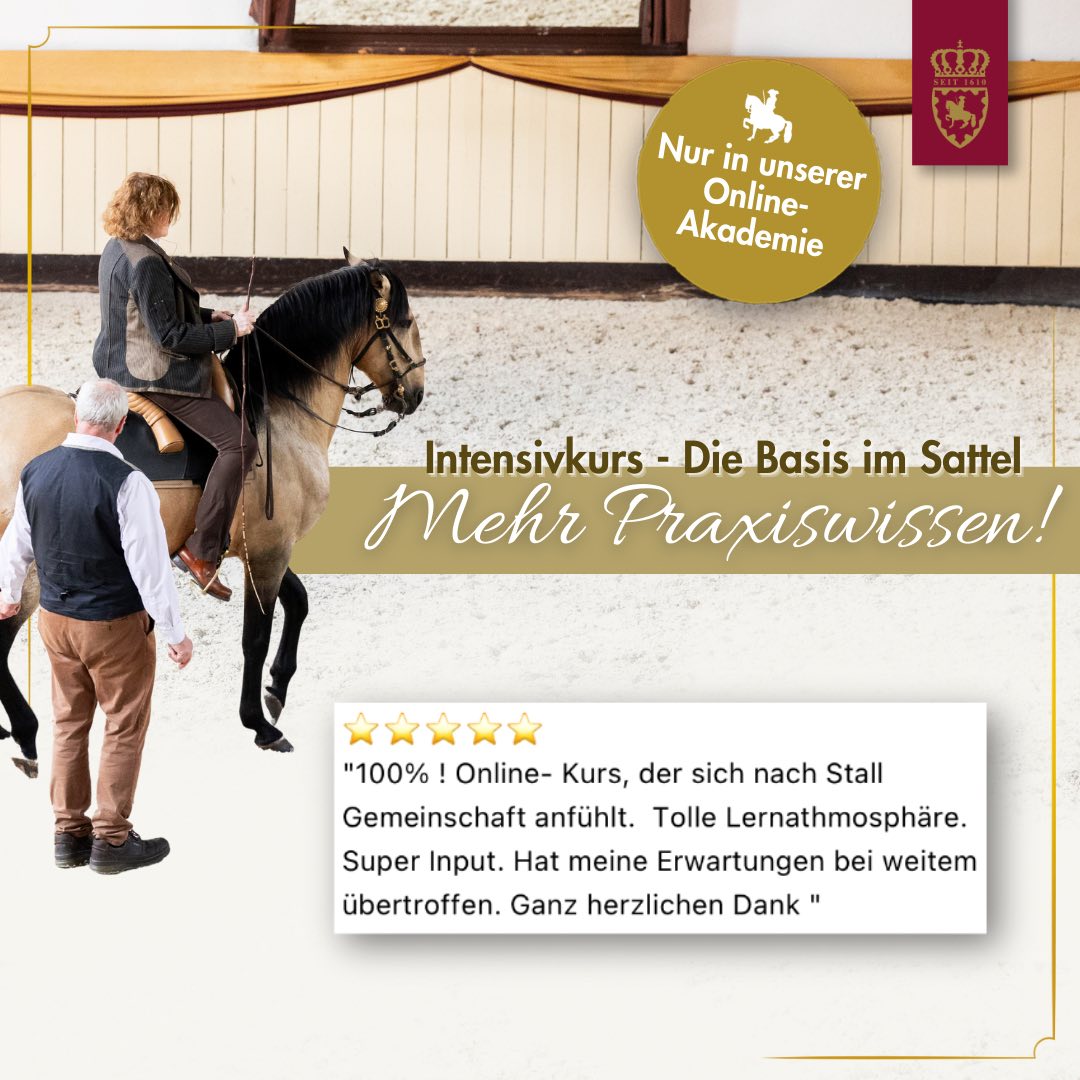 Intensivkurs - Die Basis im Sattel