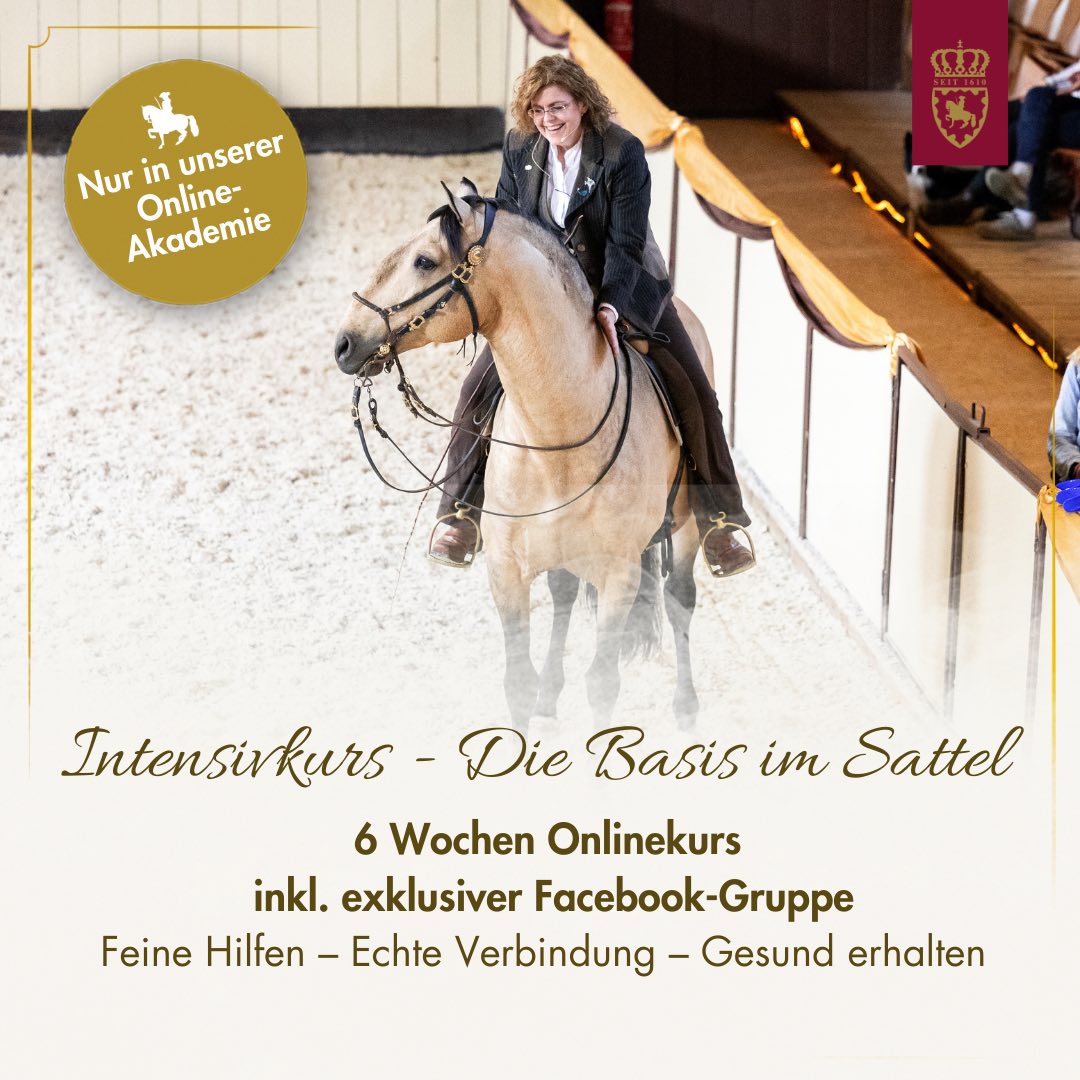 Intensivkurs - Die Basis im Sattel