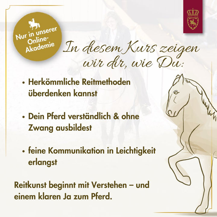 Intensivkurs - Die Basis im Sattel