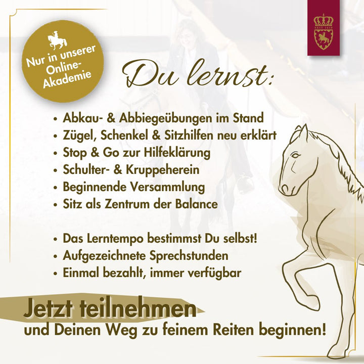 Intensivkurs - Die Basis im Sattel