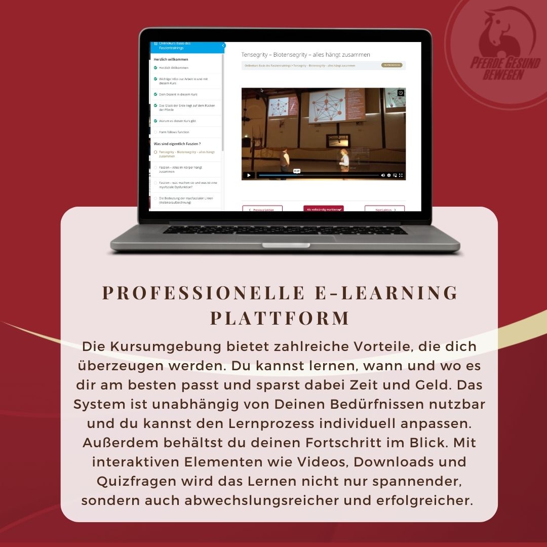 Onlinekurs – Die Basis des Faszientrainings