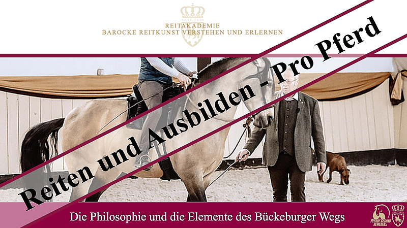 Reiten und Ausbilden - Pro Pferd