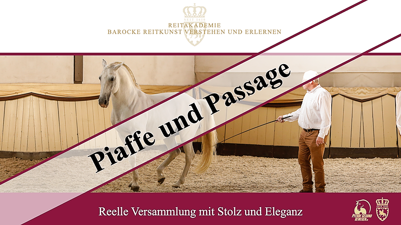 Piaffe und Passage