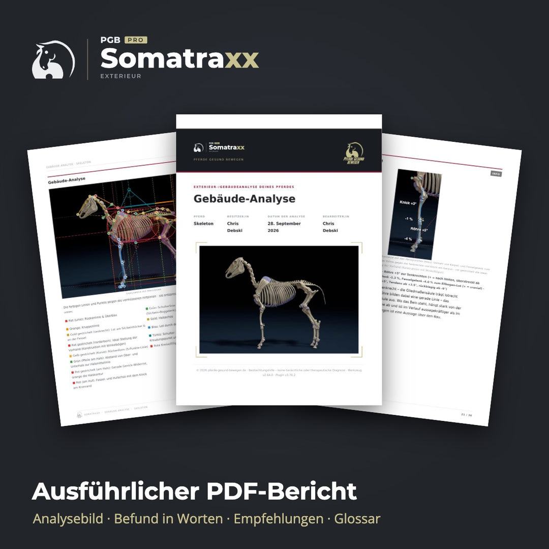 Digitale Pferdeanalyse - durch Chris Debski