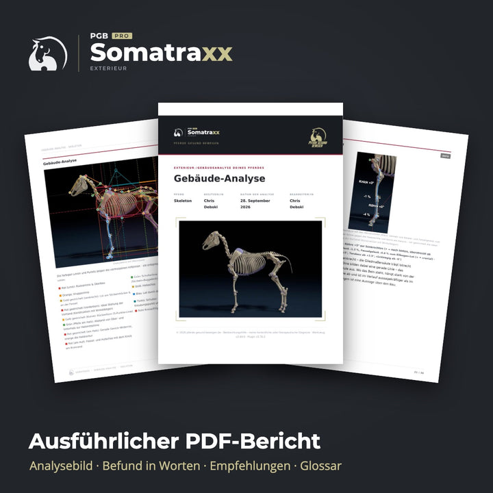 Digitale Pferdeanalyse - durch Chris Debski
