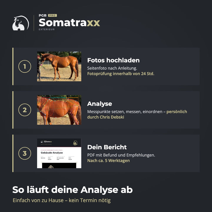 Digitale Pferdeanalyse - durch Chris Debski
