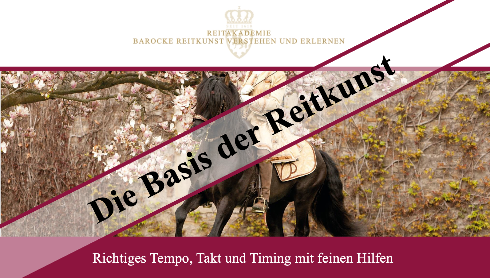 Das Fundament der Reitkunst
